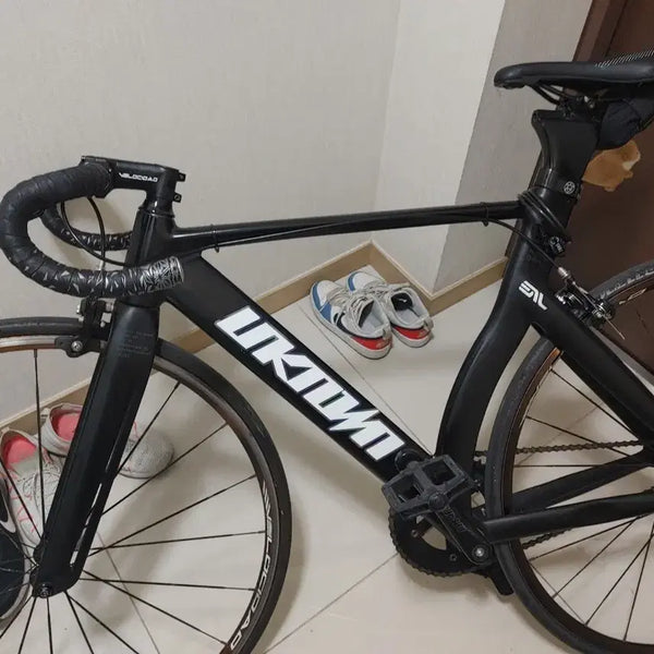 [BUNJANG] Unknown 2025 Premium LV3 Road Bike / 언노운 2025년식 프리미엄 LV3 판/대