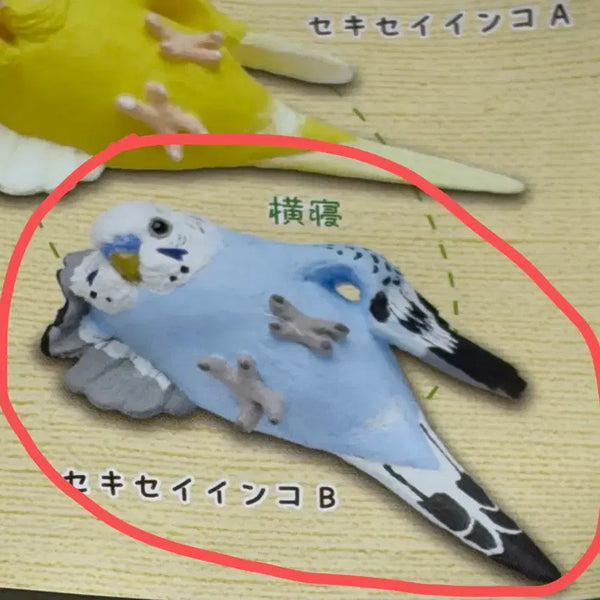 [BUNJANG] Cheeky Parrot Gacha Figure / 건방진 앵무새 가챠
