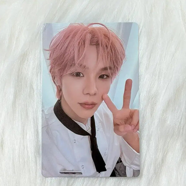 [BUNJANG] RIIZE Shotaro Unboxing Event POB Photocard / 교환/양도)라이즈 위버스 언박싱 이벤트 특전 포카 쇼타로