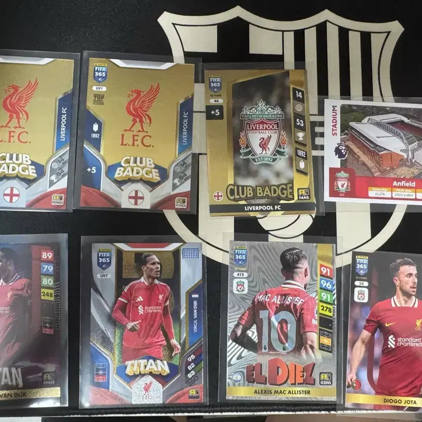 [BUNJANG] Panini Adrenalyn Liverpool Trading Card Bundle Set / 파니니 아드레날린 리버풀 14종 일괄 판매합니다.
