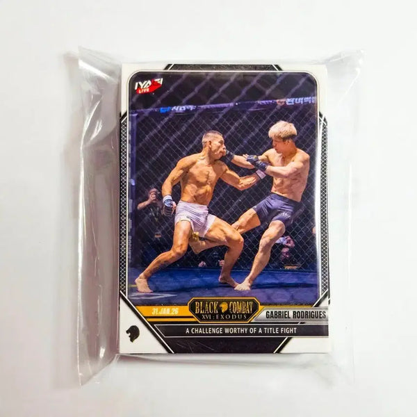 [BUNJANG] Black Combat EX Full Set 40 Cards / 블랙컴뱃 평카드(EX) 전종 40장