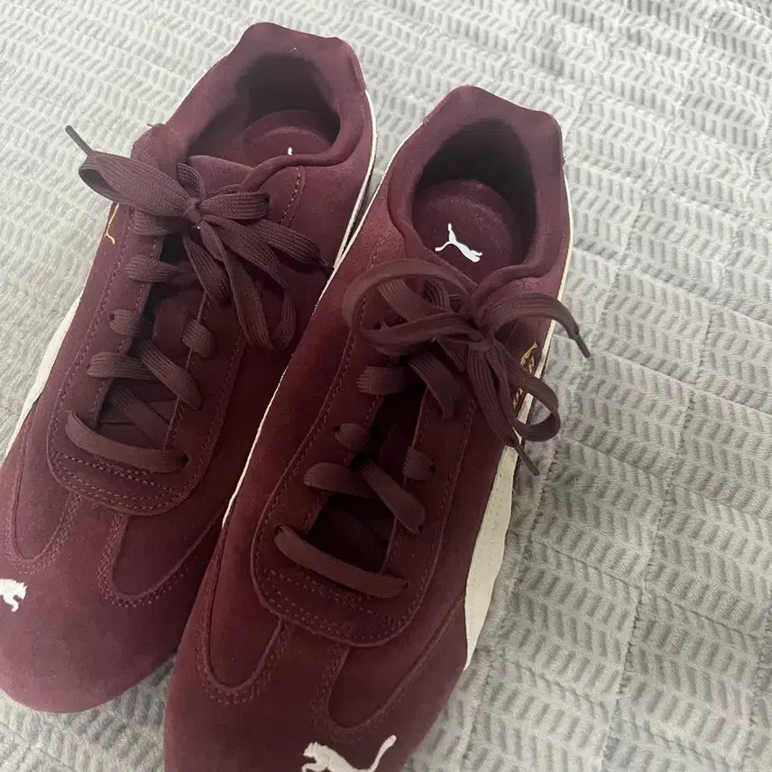 [BUNJANG] Puma Speedcat Burgundy Sneakers / 푸마 스피드캣 280
