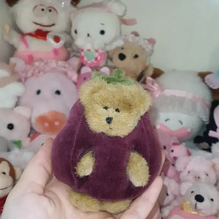 [BUNJANG] Boy's Bear Vegetable Series Eggplant Bear Plush / 보이즈베어 채소시리즈 곰 가지인형