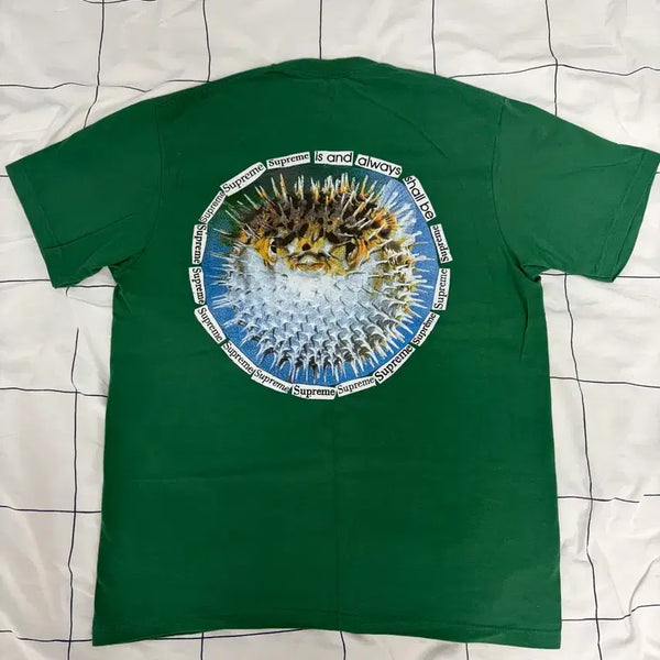 [BUNJANG] Supreme Browfish T-Shirt Light Pine / 슈프림 브로우피쉬 티셔츠 라이트파인