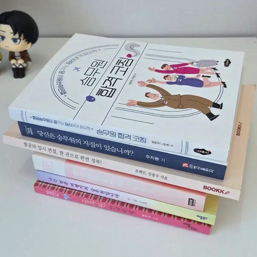 [BUNJANG] Aviation and Cabin Crew Career Guidebook Set / 항공과 입시 & 승무원 책