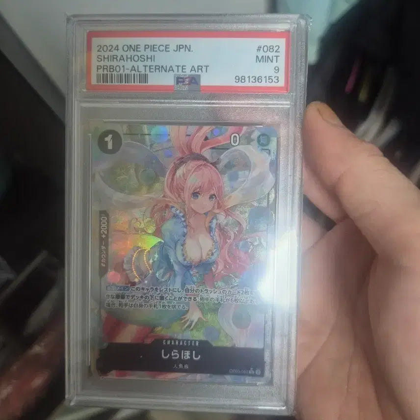 [BUNJANG] One Piece, Pokémon Card, Chunsiki, Ryan Doll / 원피스, 포켓몬카드 춘식이 라이언인형