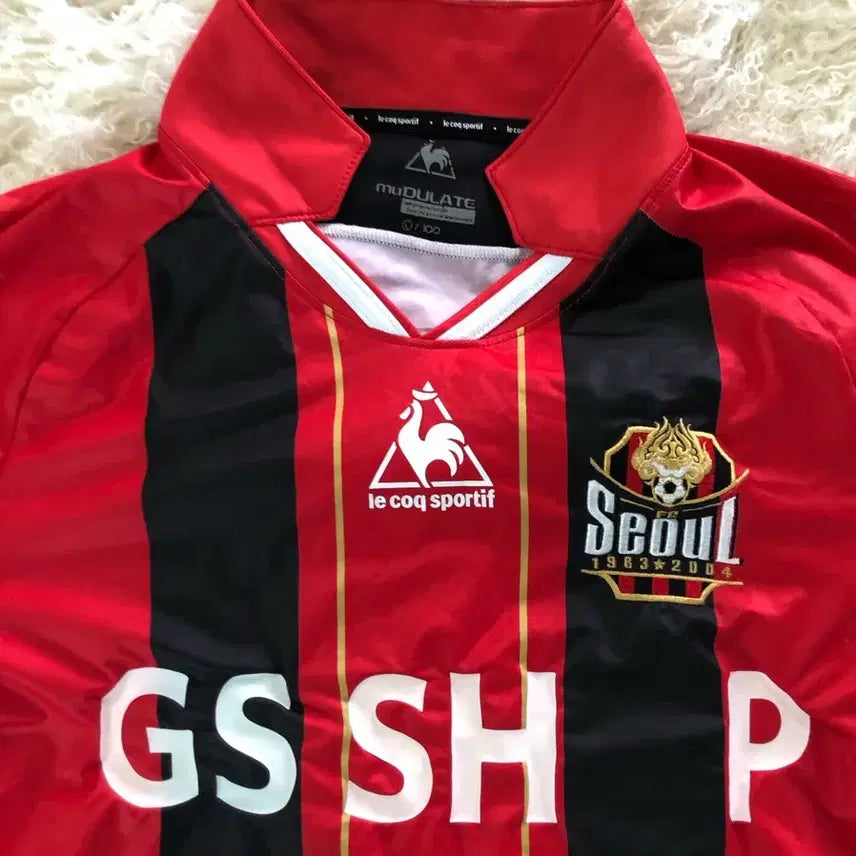 [BUNJANG] FC Seoul Molina Jersey Size 100 / FC서울 유니폼 100사이즈 몰리나