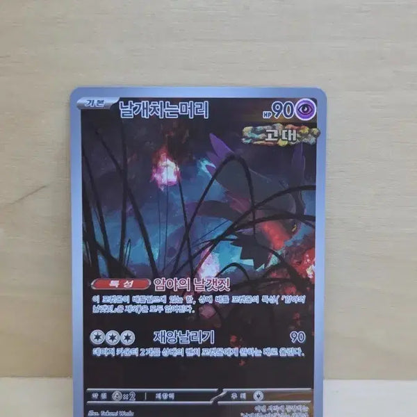 [BUNJANG] Pokemon Card Winged Tiger Ancient Rare / 포켓몬카드 날개치는머리 고대
