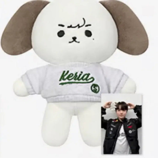 [BUNJANG] Onseti 15cm Keria Sealed Photocard Set / 티원 T1 온세티 15cm 케리아 KERIA 미개봉 포카세트