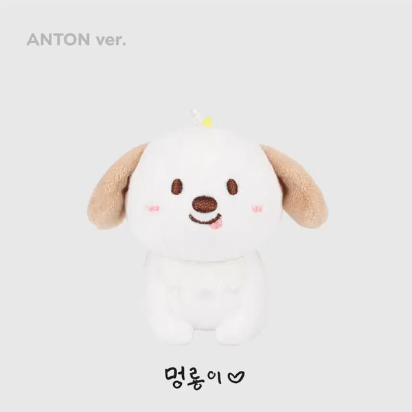 [BUNJANG] RIIZE Sungchan 10cm Plush / 라이즈 1기 멍룡이 10cm 팝니다