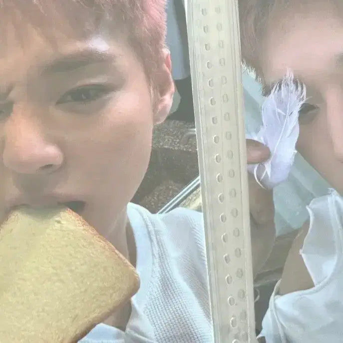 [BUNJANG] Park Jihoon Reflect Bread Photocard / 박지훈  리플렉트 식빵 포카