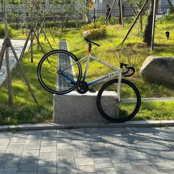 [BUNJANG] Engine11 'Critelli' Track Bike / 엔진11 개급쳐