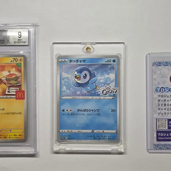 [BUNJANG] Pokemon TCG 30th Anniversary Artwork Stickers Bundle Set / 포켓몬 카드 포켓몬띠부씰 일괄 (설명 읽어 주세요)