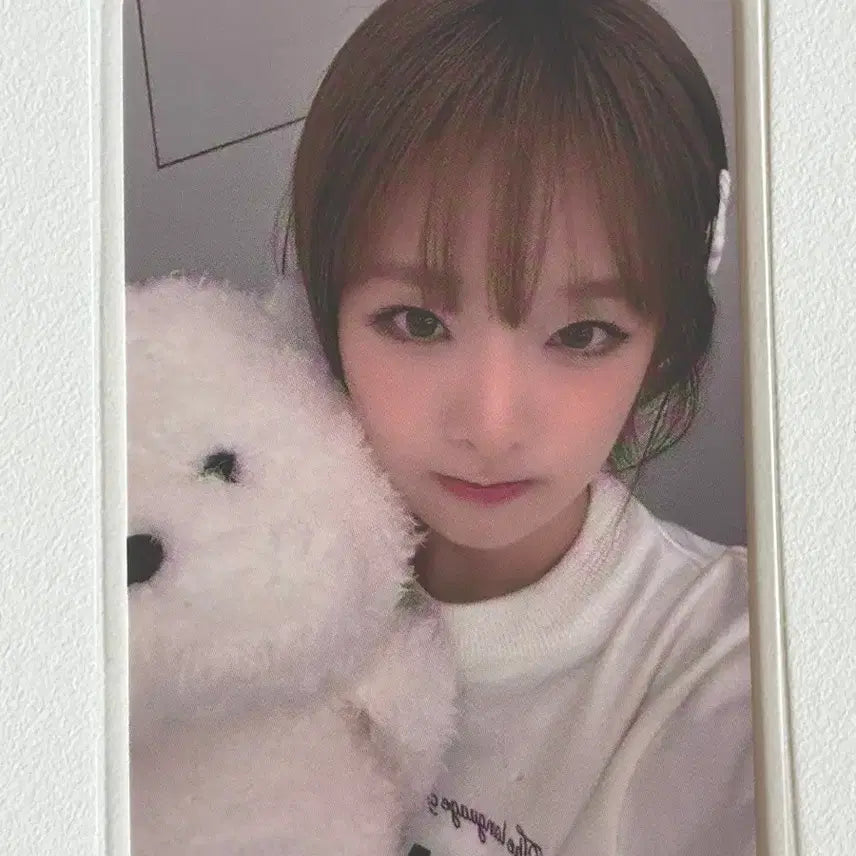 [BUNJANG] Choi Yena Catch Catch Photocard / 최예나 포카 양도 판매 캐치캐치 특전
