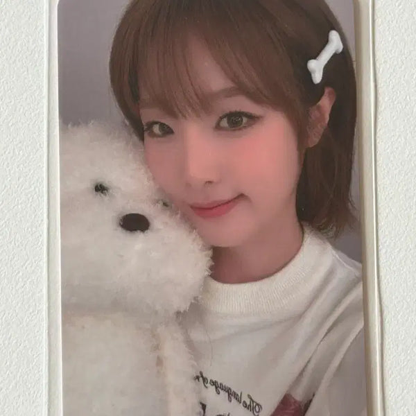 [BUNJANG] Choi Yena Catch Catch POB Photocard / 최예나 포카 양도 판매 캐치캐치 특전