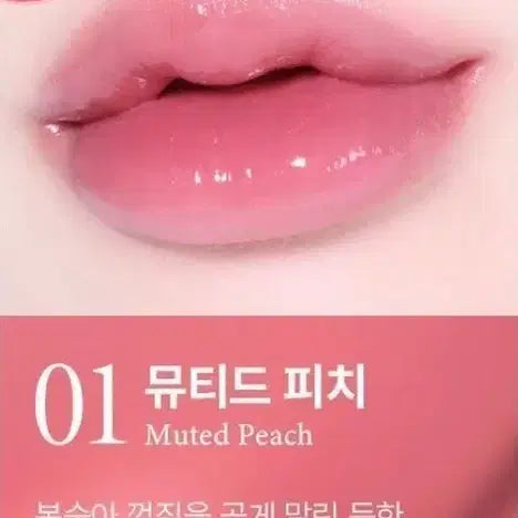 [BUNJANG] Giverny Dewey Lip Glaze 01 Muted Peach (Sealed) / 미개봉/지베르니 듀이 립 글레이즈 01 뮤티드 피치