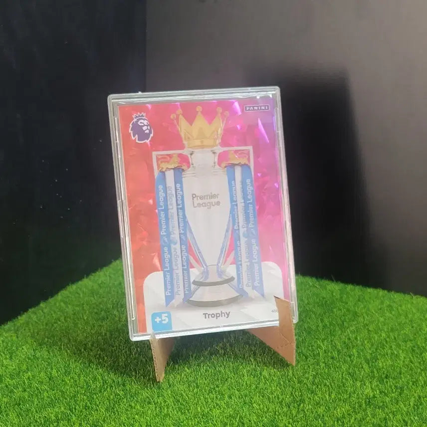 [BUNJANG] Panini Premier League Trophy Diamond Card with Case / 파니니 축구카드 프리미어리그 트로피 다이야몬드 카드!