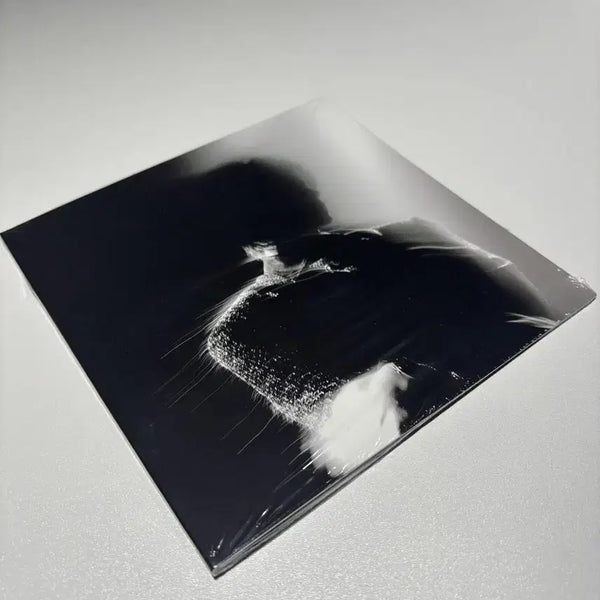 [BUNJANG] FOMMY HILTIGER Royal 44 the Star CD / 교환및 판매) 로얄44 the star/ FOMMY HILTIGER로 교
