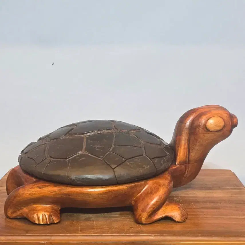 [BUNJANG] Large Chinese Turtle Shell Stone / 26062904 대형 중국 구갑 거북 수석 팝니다