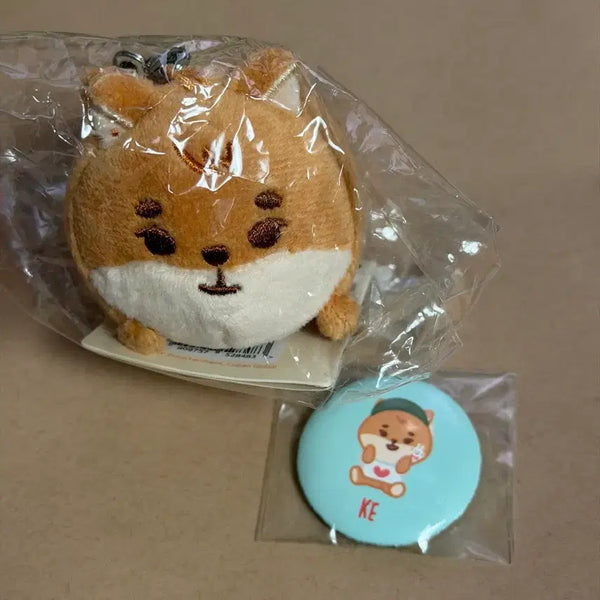 [BUNJANG] Day6 Danimals Petitmales Sa-jok-bo-haeng K Canned Badge Set (Sealed) / (미개봉) 쁘띠멀즈 사족보행 케 캔뱃지 포함
