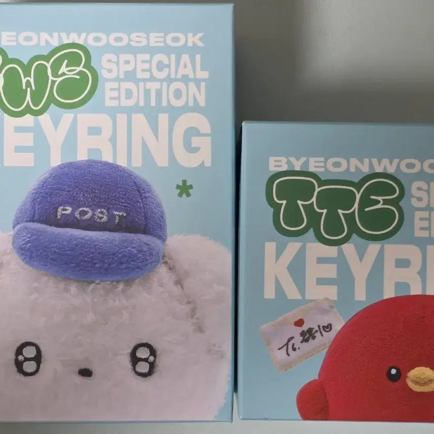 [BUNJANG] Byeon Woo Seok Doll Keychain (Box Creasing) / 변우석 인형 키링