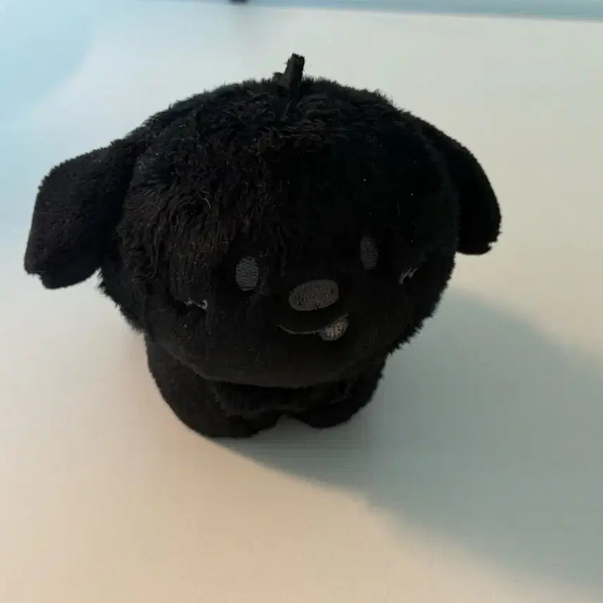 [BUNJANG] RIIZE Anton Dragon Plush Doll / 깜룡이 멍룡이 라이즈 앤톤 인형