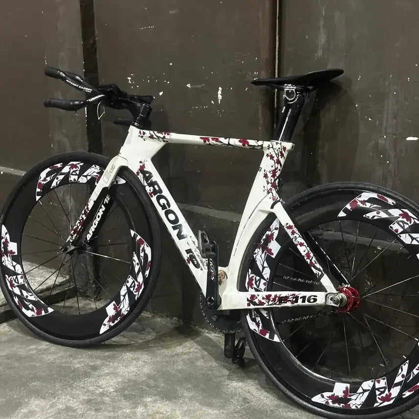 [BUNJANG] Argon 18 E116 TT/Triathlon Frameset (Size 54) / 아르곤18 E116 설명 꼭 읽어주세요