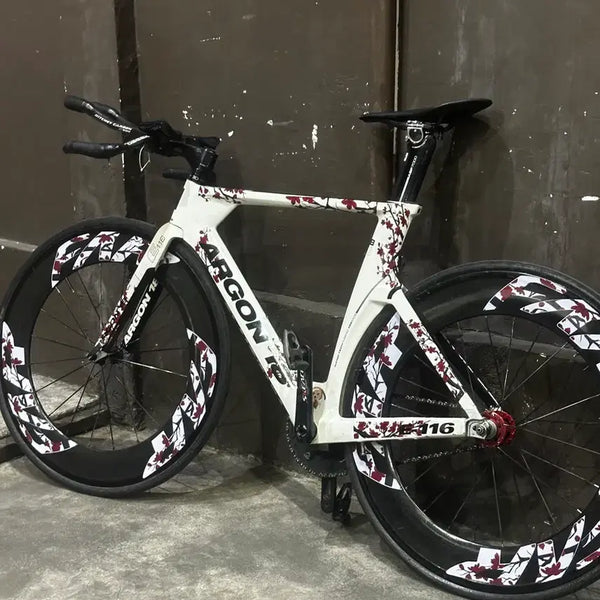 [BUNJANG] Argon 18 E116 TT/Triathlon Frameset (Size 54) / 아르곤18 E116 설명 꼭 읽어주세요
