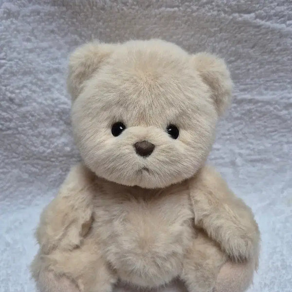 [BUNJANG] Teddy Tails Lena Bear Milk Tea 20cm Doll (New) / (새상품)테디테일즈 레나베어 밀크티 s사이즈 20cm