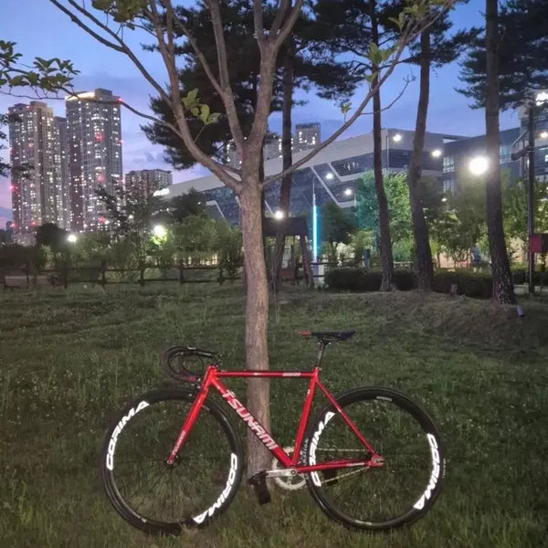 [BUNJANG] Tsunami SMM100 Road Bike Frame (Red Wine, Size S) / 쓰나미 smm100 레드와인 프레임입니다.**완차판매 xx**신품