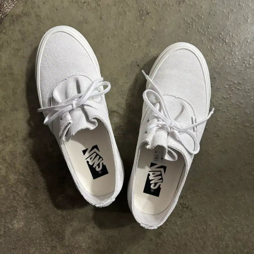 [BUNJANG] Vans Authentic LX Blanc de Blanc Sneakers / [250] 반스 프리미엄 어센틱 이즈 LX 블랑 데 블랑 VN000EC