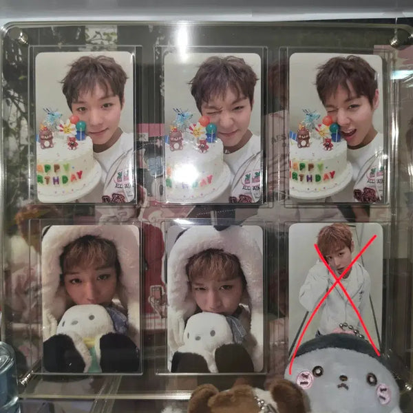 [BUNJANG] Park Jihoon Bundle Set Photocard (Huniday, Pochacco, Emotion Doll, Ribbon Heart) / 박지훈 포카(후니데이, 포차코,  감정인형, 리본하트)일괄