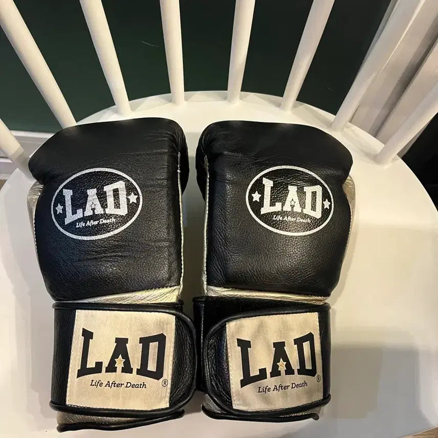 [BUNJANG] LAD 8oz Boxing Gloves / LAD 라드글러브 8온스