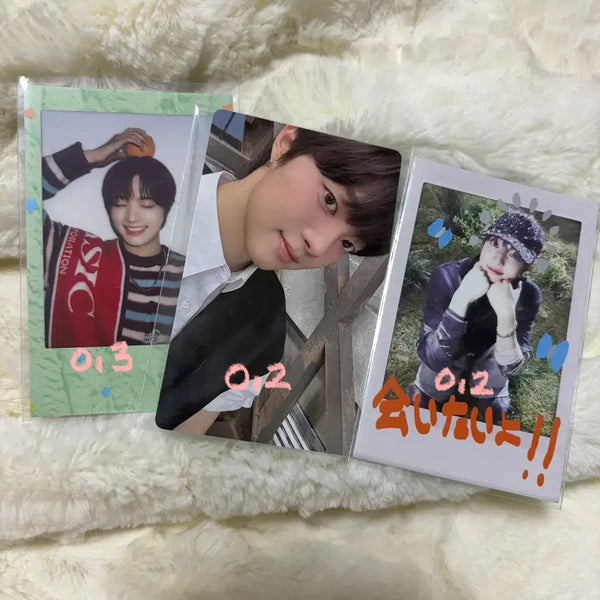 [BUNJANG] ENHYPEN EJ Season's Greetings Polaroid Photocard / 앤팀 의주 포토카드 포카 시즌그리팅 시그 폴라 백투라