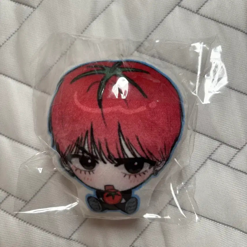 [BUNJANG] BOYNEXTDOOR Taesan Cushion Keyring (Sealed) / 미개봉)보넥도 태산 태마태 삑삑이 쿠션키링 양도