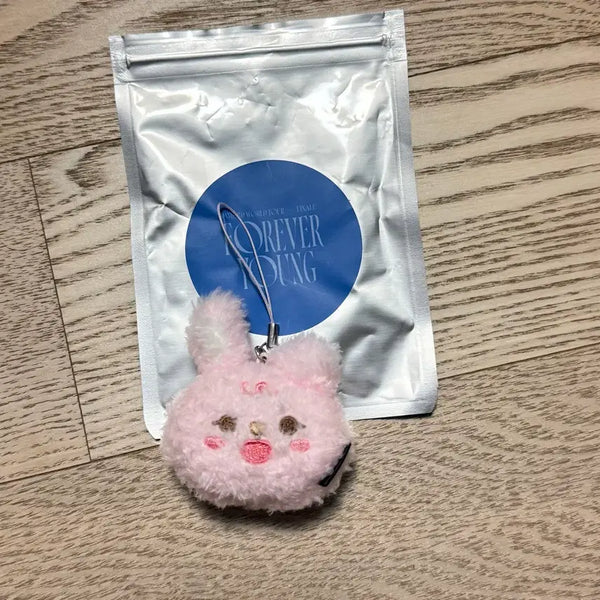 [BUNJANG] Day6 Petit Mals Phil Secret Keyring Random Keyring / 데이식스 시크릿키링 랜덤키링 쁘띠멀즈 필 새상품
