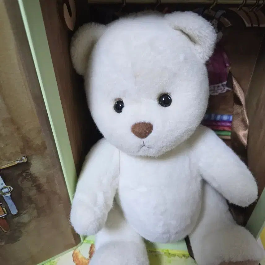 [BUNJANG] Teddy Tales Lena Bear M Size with Dinosaur Jumpsuit (Renewal Before Version) / 테디테일즈 레나베어m + 공룡 점프수트