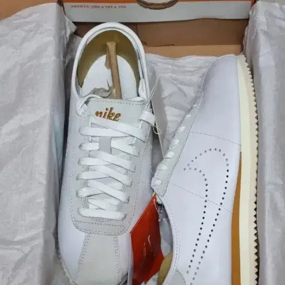 [BUNJANG] Nike Cortez White Sneakers / (남성 매장 정품 새상품) 나이키 코르테즈 화이트 (270/280사이즈)