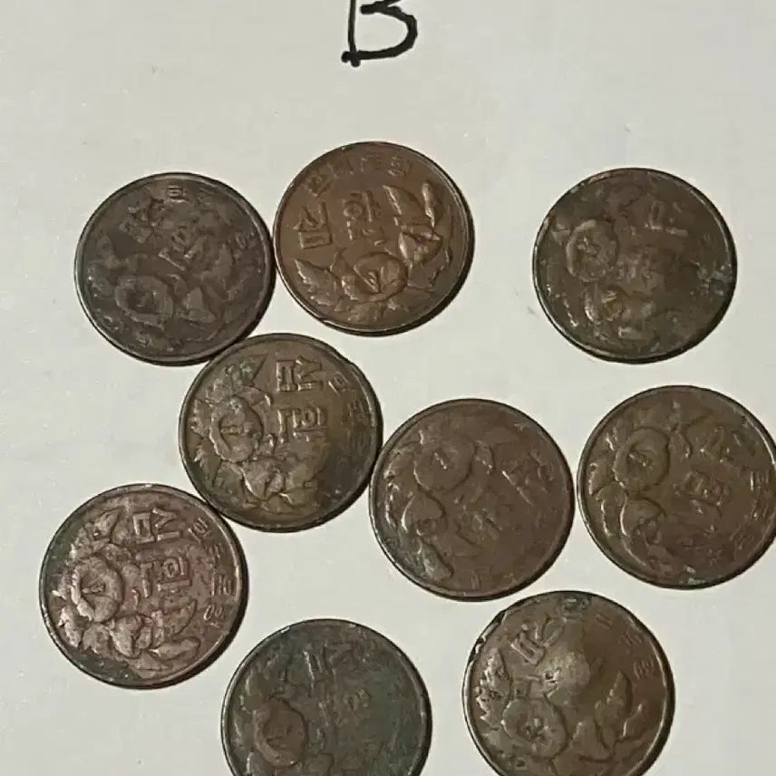 [BUNJANG] 10 Won Coin Bundle (1959, 1961) / 희귀주화 십환(10환) 9개 묶음 판매 (B/C택1)