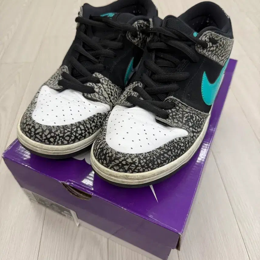 [BUNJANG] Nike SB Dunk Low Jade / [300] 나이키 SB 덩크 로우 제이드