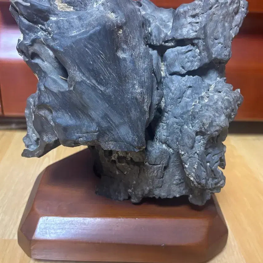 [BUNJANG] Libyan Large Petrified Wood Fossil (4.9kg) with Stand / 리비아 대형 규화목(나무화석) 4.9kg 받침대 포함