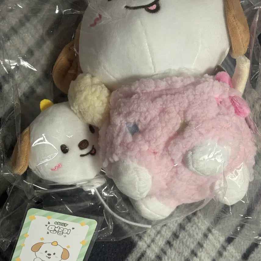 [BUNJANG] Puppycat 20cm Doll Lucky Draw / 멍룡이 20cm 럭키카드 포함