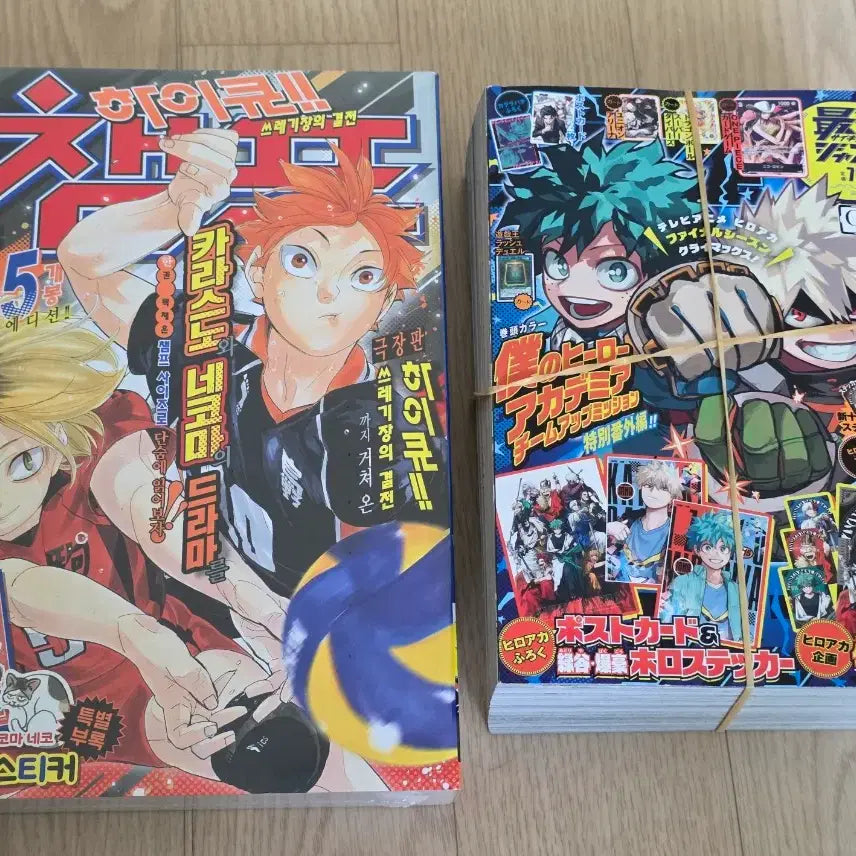 [BUNJANG] Haikyu!! Movie: The Battle at the Garbage Dump Manga / 하이큐!! 극장판 쓰레기장의 결전. .외