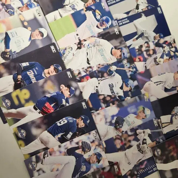 [BUNJANG] NC Dinos KBO Player Card Bundle / KBO Nc 다이노스 카드