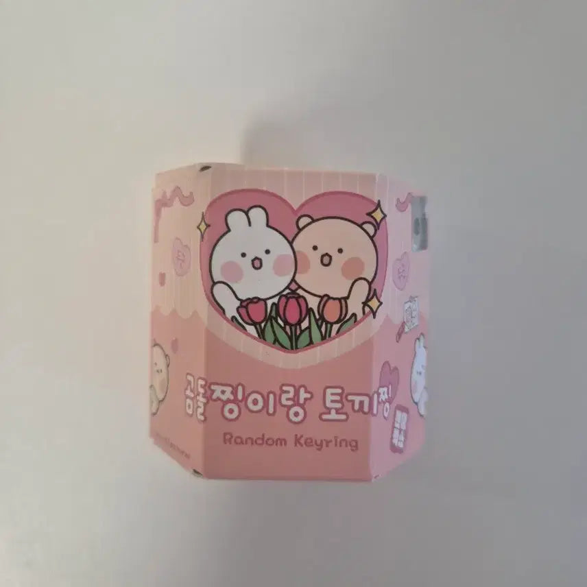 [BUNJANG] Bear and Rabbit Figure Keyring Set / 곰돌찡이랑 토끼찡 피규어 키링
