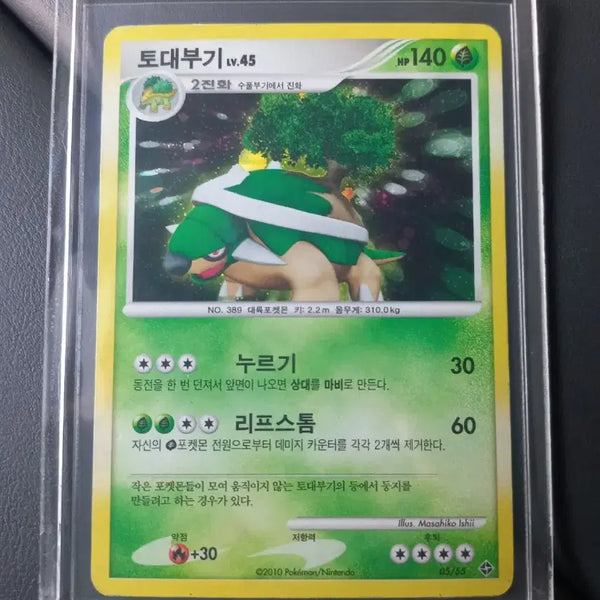 [BUNJANG] Pokemon Card Torterra LV.45 2010 / 토대부기 LV.45 2010 포켓몬카드