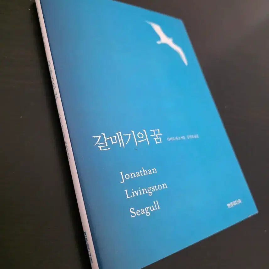 [BUNJANG] The Seagull's Dream / 갈매기의 꿈