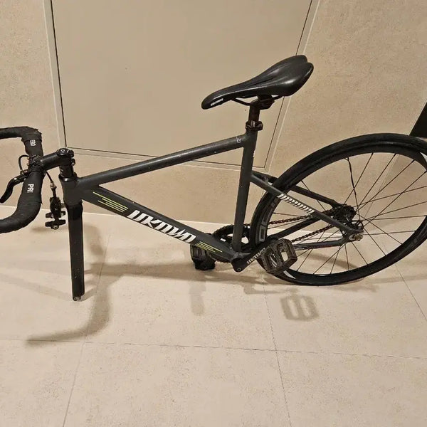 [BUNJANG] Unknown PS1 Road Bike Frame / 언노운 ps1 묻따 10 가격 어그로 아님