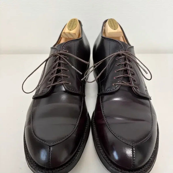 [BUNJANG] Alden Modified Last Wingtip Oxford Burgundy / 알든 54321 모디파이드라스트 8D 최종가격