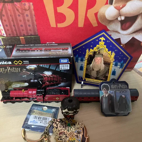 [BUNJANG] Harry Potter Keychain / 해리포터 굿즈